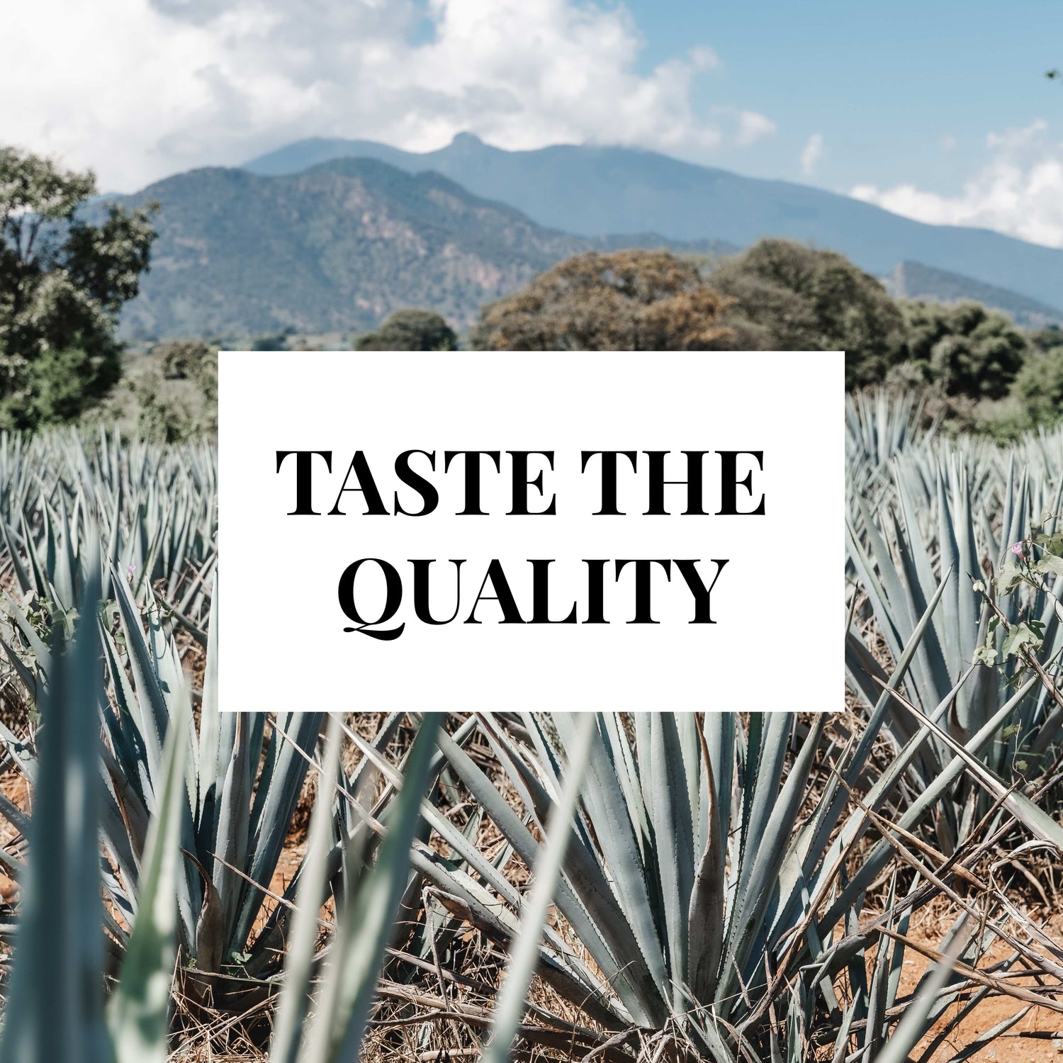 What is Additive-Free Tequila?