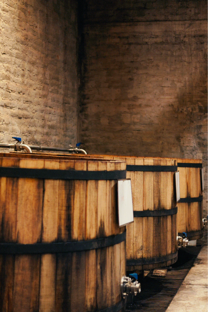 Agave fermentation in wooden tanks